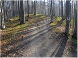 Stahovica - Gradišče (Velika planina)